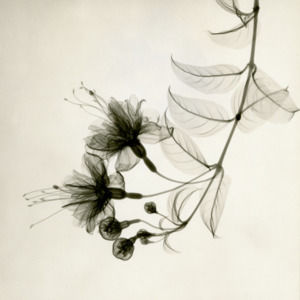 Meet your Posher, Krista